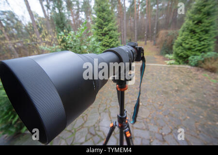 Lange schwarze Zoom mit der Brennweite 150 mm bis 600 mm bei einer spiegellosen Kamera auf einem Stativ, Fotografie Stockfoto