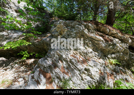 Herr Hill Steinbruch auf Herrn Hill in Maine in den Frühlingsmonaten. Die Mine Loop Trail Reisen durch den Steinbruch. Stockfoto