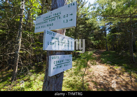 Trail Kreuzung der Conant Trail und meine Loop Trail auf Herrn Hill in Maine in den Frühlingsmonaten. Dieses Loop Trail Reisen über Pine Hill und Herrn Stockfoto