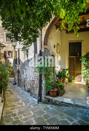 Idyllische Gasse in der mittelalterlichen Stadt Montemerano, Toskana, Italien Stockfoto