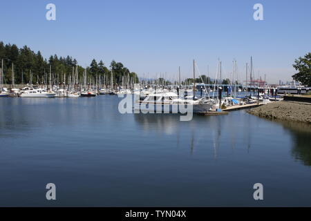 18. Juni 2018, Vancouver, Kanada: Editorial Bild des False Creek Boat Harbour. Dies ist eine sehr reiche Gegend von Vancouver. Stockfoto