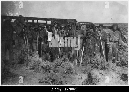 Lkw-Spuren. Bostwick's Crew. Diese Mannschaft hat auf dem Weg der Ausrichtung und Bau gearbeitet.; Umfang und Inhalt: Lager DG4 ist 1,6 km südwestlich von Springfield, Idaho im SE 1/4 Abschnitt 14, Gemeinde 4 South, Reichweite 32 Osten gelegen. Es ist durch das CCC Unternehmen 990 von Big Sur, State Park 12, Monterey, Kalifornien beschäftigt. Der Arbeitsbereich dieses Camps liegt in Weiden Bezirk Nr. 3. Es liegt etwa eine Meile von der Schiene. Bau des Lagers war, die von der Advanced Detail am 1. Mai begonnen. Es wurde von der 15. Mai besetzt. Feld Arbeit war 30. Mai begonnen. Stockfoto