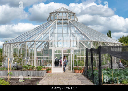 Achteckige Glasshouse in das globale Wachstum Garten RHS Hyde Hall, Chelmsford, Essex, England Stockfoto