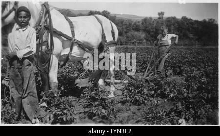 Zwei Jungen pflegen ein Feld mit Pferd gezeichnete Hand Pflug Stockfoto