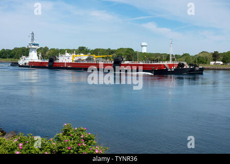 Tugboat Cape Lookout schieben doppelt geschälte Kraftstoff barge DBL 102 durch Cape Cod Canal mit Rosa rugosa im Vordergrund Stockfoto