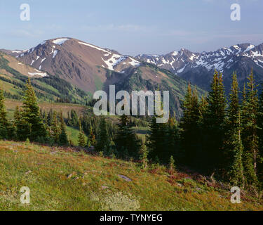 USA, Washington, Olympic National Park, Grate und Gipfel der zentralen Olympischen Berge, Blick nach Süden aus der Nähe von Behinderung Peak. Stockfoto