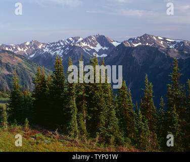 USA, Washington, Olympic National Park, Blick aus der Nähe von Behinderung Peak in Richtung McCartney Peak und die umliegenden Gipfel der zentralen Olympischen Berge. Stockfoto