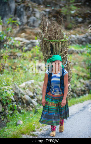 Vietnamesische Landwirt in einem Countrside in der Nähe von Ha Giang Vietnam Stockfoto