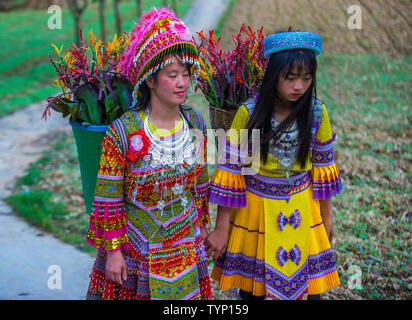 Mädchen aus der Hmong-minderheit in einem Dorf in der Nähe von Dong Van in Vietnam. Stockfoto