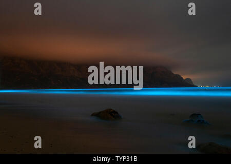 Bioluminescent phytoplankton Ausleuchten der Meer entlang der Küste am Kogelberg Biosphere Reserve in der Nähe von Kapstadt, Südafrika. Stockfoto