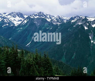 USA, Washington, Olympic National Park, Blick aus der Nähe von Behinderung Peak in Richtung Lillian River Valley und die umliegenden Gipfel der Olympic Mountains. Stockfoto