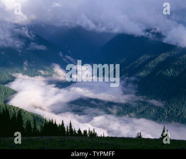 USA, Washington, Olympic National Park, Gewitterwolken ausblenden Gipfeln und Wald in der elwah Tal, südlich von Hurrican Ridge. Stockfoto