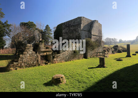 Die Ruinen der Abtei Jervaulx, East Witton Dorf, Grafschaft North Yorkshire, England Stockfoto