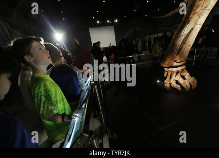 Kinder sehen Sie sich ein 122 Meter langer Dinosaurier geworfen, wenn es im Amerikanischen Museum für Naturgeschichte in New York City am 14. Januar 2016 vorgestellt. Paläontologen vorschlagen dieser Dinosaurier, eine riesige Pflanzenfresser, gehört zu einer Gruppe als titanosaurs, auf rund 70 Tonnen gewogen bekannt. Die Art lebt in den Wäldern des heutigen Patagonien etwa 100 bis 95 Millionen Jahren und ist einer der größten Dinosaurier überhaupt entdeckt. Foto von John angelillo/UPI Stockfoto