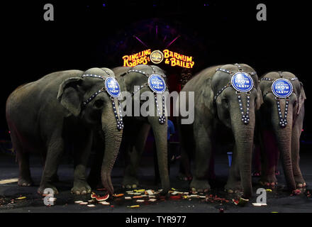 Asiatische Elefanten der Ringling Bros. und Barnum & Bailey Circus ein brunch von lokalen Schule Kinder von PS310 und PS176 in Brooklyn bei Barclays Center gesehen Am 2. März 2016 in New York City genießen. Die Elefanten in den Ruhestand im Mai, bevor Sie in ihr endgültiges Zuhause am Ringling Bros. Zentrum für Elephant Conservation in Florida bewegen. Foto von John angelillo/UPI Stockfoto