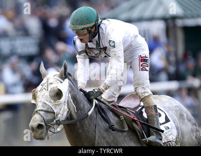 Jockey Irad Ortiz Jr. reagiert beim Reiten Creator nach dem Überqueren der Ziellinie der 148 läuft der Belmont Stakes am 11. Juni 2016 an der Belmont Park Racetrack in Elmont, New York zu gewinnen. Schöpfer der Run auf der Strecke Fänge Destin durch eine Nase zu gewinnen, mit Lani kommen in der dritten. Foto von John angelillo/UPI Stockfoto