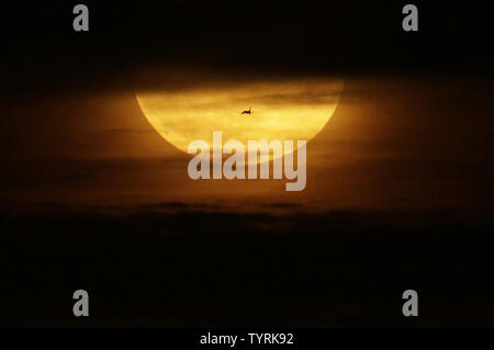 Ein Flugzeug passiert einen supermoon, die hinter der Skyline von Manhattan teilweise durch Wolken versperrt nach Sonnenuntergang in New York City am 14. November 2016 steigt. Die spektakulärsten supermoon seit 1948 leuchtet der Himmel am Dienstag Morgen und Abend, Erscheinen 14 Prozent größer und 30 Prozent heller als sonst. November supermoon, ein Begriff, der verwendet wird, ein Vollmond zu beschreiben, ist an seinem perigäum oder nächstgelegene Punkt auf der Erde während der mondbahn, ist der grösste und hellste supermoon werden in fast 69 Jahren zu steigen. Der Vollmond nicht so nahe an der Erde nicht wieder kommen, bis Nov. 25, 2034. Foto Stockfoto