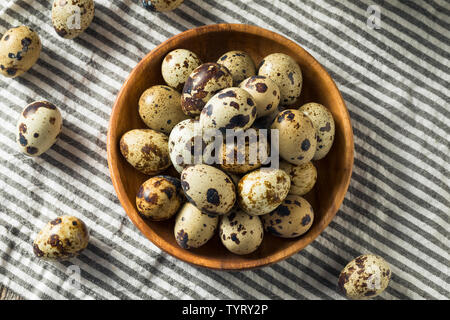 Raw Organic beschmutzt Wachteleier bereit zu Kochen Stockfoto