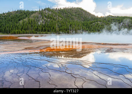 Am späten Nachmittag Promenade - der Grand Prismatic Spring, Yellowstone National Park, Wyoming, USA. Stockfoto