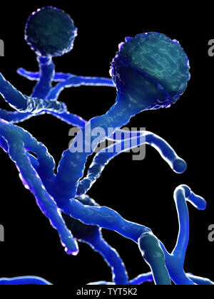 Gerenderten 3d-Abbildung der Form - mucor Stockfoto