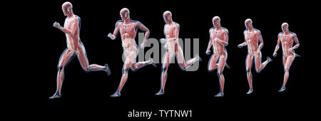 3D-gerenderte Abbildung eines laufenden mans Muskeln Stockfoto