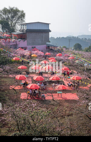 Bauernhaus Musik in der Heimatstadt von Longquanyi Peach Blossom in Chengdu Stockfoto