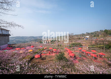 Bauernhaus Musik in der Heimatstadt von Longquanyi Peach Blossom in Chengdu Stockfoto