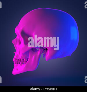 3D-gerenderte abstrakte Darstellung eines Schädels Stockfoto