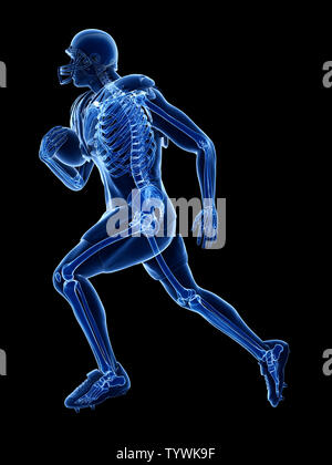 3D-gerenderte Medizinisch genaue Abbildung: das Skelett eines American football player Stockfoto