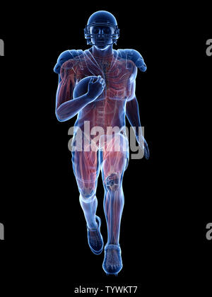 3D-gerenderte Medizinisch genaue Abbildung der Muskulatur eines American football player Stockfoto