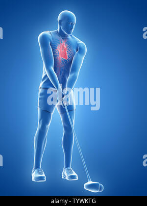 3D-gerenderte medizinisch genauen Abbildung des Stockfoto