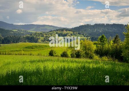 Schöner Frühling Berglandschaft. Eine bezaubernde Aussicht auf die Hügel mit grünen Bäumen. Stockfoto