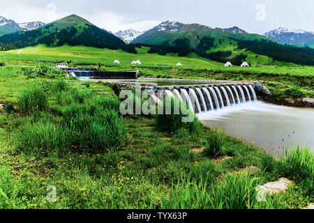 Juni Tag in Yili, Xinjiang Stockfoto