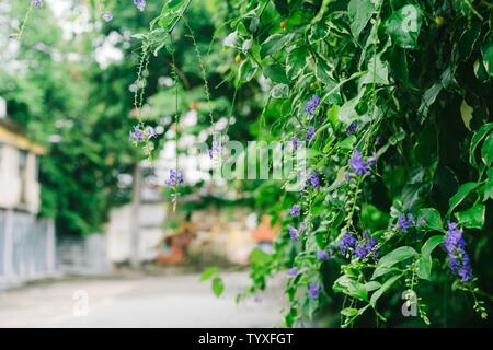 Eine Ecke der Landschaft von Guangzhou Red Brick Factory Stockfoto