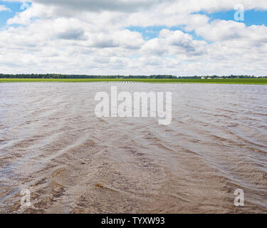 Schwere Regenfälle und Stürme im Mittelwesten überflutet Maisfelder in der maisernte Schäden verursacht haben, Bodenerosion und Erntegut Wiederbepflanzung Stockfoto