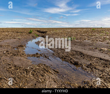 Schwere Regenfälle und Stürme im Mittelwesten haben Überschwemmungen verursacht von Feldern und Wasserabfluß zu Bodenerosion und Entwässerung Fragen Stockfoto