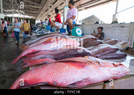 KOTA KINABALU BORNEO - 31. MAI 2019; Arbeitnehmer, Lieferanten und frischen Fisch und Meeresfrüchte in der Stadt nass oder Fischmarkt in der Nähe der Wharf. Stockfoto