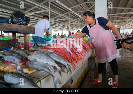 KOTA KINABALU BORNEO - 31. MAI 2019; Arbeitnehmer, Lieferanten und frischen Fisch und Meeresfrüchte in der Stadt nass oder Fischmarkt in der Nähe der Wharf. Stockfoto