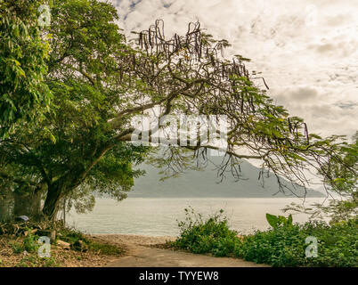 Ein Baum Frames der South China Sea und Launtau monutains der Insel als vom Th Fischerdorf Tai O in Hongkong gesehen. Stockfoto