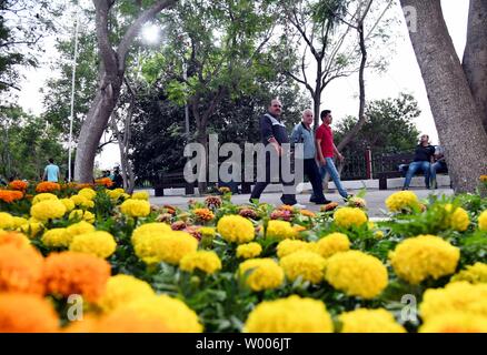 Damaskus, Syrien. 26 Juni, 2019. Menschen besuchen die Internationale Blumen "Fair 2019 am Tishreen Park in Damaskus, Syrien, am 26. Juni 2019. Die Messe für das Publikum geöffnet am Mittwoch und dauert bis zum 10. Juli. Credit: Ammar Safarjalani/Xinhua/Alamy leben Nachrichten Stockfoto