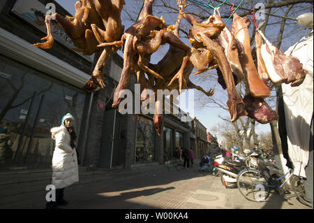 Eine chinesische Frau geht Vergangenheit Hühner auf einem Bürgersteig Wäscheleine außerhalb einer verkaufsplattform in Peking am 19. Januar 2009 getrocknet wird. Eine 27-jährige Frau aus dem Osten Chinas gestorben der Vogelgrippe, ihr die zweite Person, die in diesem Jahr von der tödlichen Virus zu sterben, die chinesischen Behörden sagte. (UPI Foto/Stephen Rasierer) Stockfoto