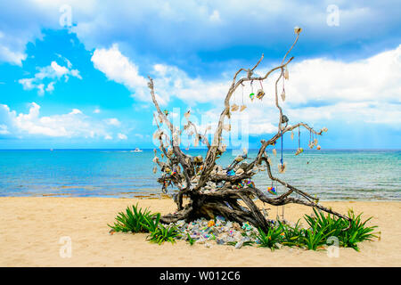 Strand Landschaft mit einem geschmückten Baum. Stockfoto