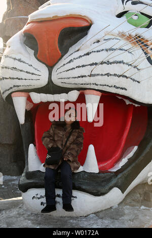 Touristen besuchen und füttern Sibirische Tiger an der Sibirische Tiger Park in Harbin, die Hauptstadt der Provinz Heilongjiang im Nordosten Chinas, 17. Januar 2015. Der Park, der größte Zucht der Welt für die Spezies, die es Besuchern ermöglicht, zu senden Schafe (100 $), Hühner (25 $) und Kühe (350 $) in den Tod, indem Sie sie in die Tiger Bereiche für einen symbolischen Preis freigegeben werden. Der sibirische Tiger ist die größte der großen Katzen der Welt. Foto von Stephen Rasierer/UPI Stockfoto