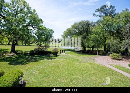 Majestätische Eichen umgeben das Gelände der Oak Alley Plantation in Vacherie, Louisiana Stockfoto