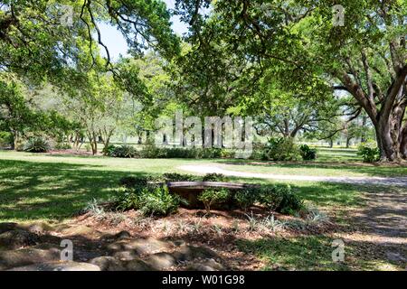 Majestätische Eichen umgeben das Gelände der Oak Alley Plantation in Vacherie, Louisiana Stockfoto