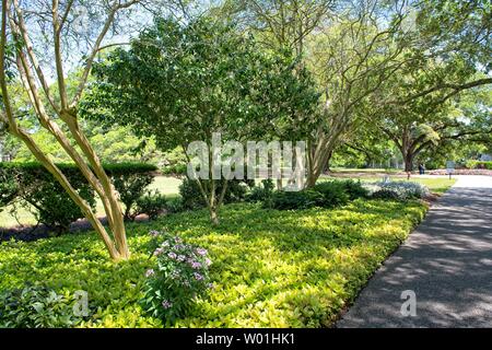 Majestätische Eichen umgeben das Gelände der Oak Alley Plantation in Vacherie, Louisiana Stockfoto