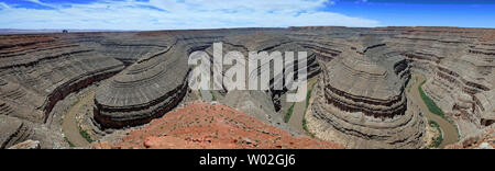 Blick auf die schwanenhälse auf dem San Juan River Utah USA Stockfoto