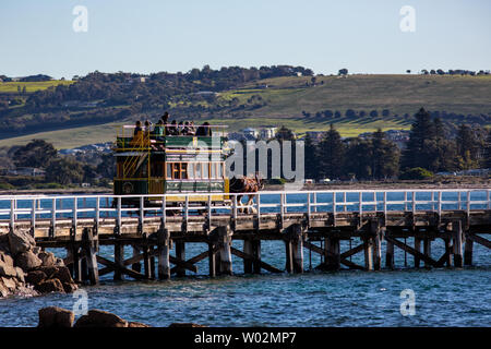 Die ikonische von Pferden gezogene Wagen zwischen Victor Harbor und Granite Island mit dem Causeway in Südaustralien am 26. Juni 2019 Stockfoto