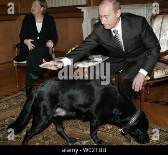 Der russische Präsident Wladimir Putin (R) Haustiere seine Labrador Koni zu Beginn seines Treffens mit Bundeskanzlerin Angela Merkel bei der Residenz des Präsidenten in der Nähe von dem Schwarzen Meer Kurort Sotschi am 21. Januar 2007. Merkel sagte, sie und Putin die sogenannte "Quartett" der internationalen Vermittler, ein neues Laufwerk, den Friedensprozess im Nahen Osten zu beleben unterstützt. (UPI Foto/Anatoli Zhdanov) Stockfoto