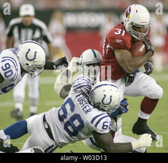 Arizona Cardinals zurück läuft, Jason Wright (31) holt die vier Werften wie Indianapolis Colts Verteidiger Dan Muir (R) und Eric Foster (68) Versuchen Sie die Stop im ersten Quartal an der Universität von Phoenix Stadium in Glendale, AZ September 27,2009. (UPI/Kunst Foxall) Stockfoto